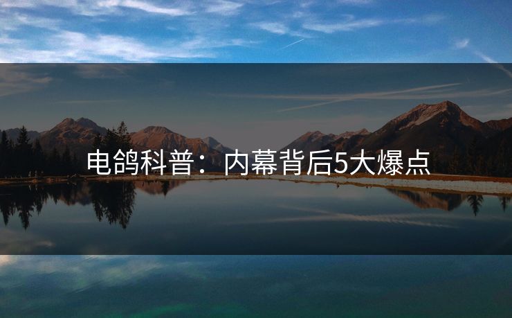 电鸽科普：内幕背后5大爆点
