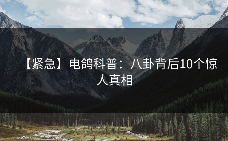 【紧急】电鸽科普:八卦背后10个惊人真相 【紧急】电鸽科普:八卦背后10个惊人真相