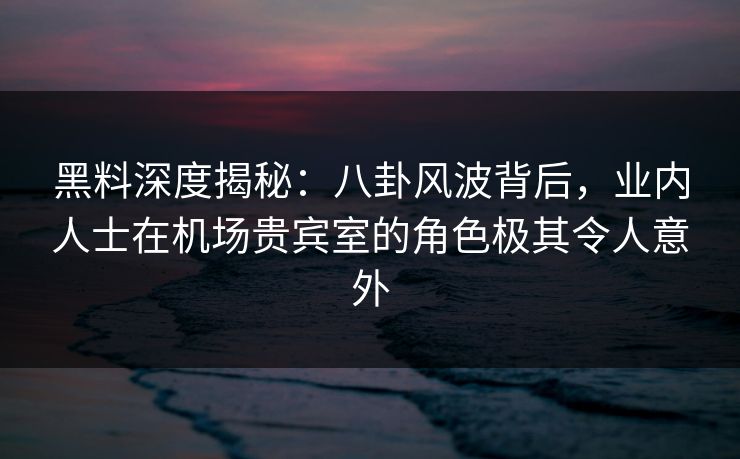 黑料深度揭秘：八卦风波背后，业内人士在机场贵宾室的角色极其令人意外