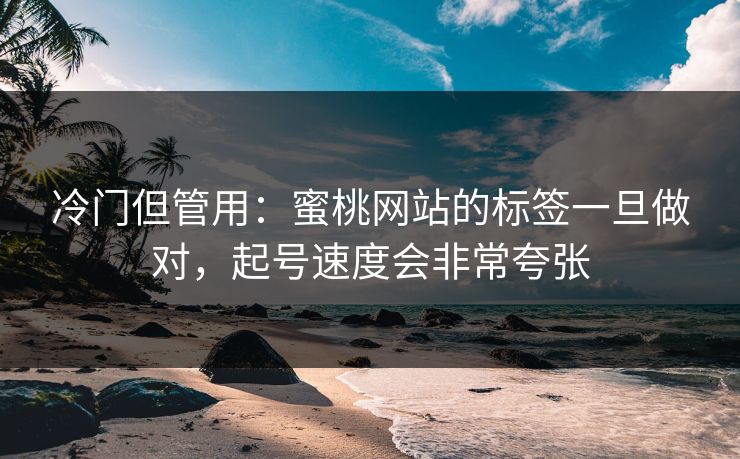 冷门但管用：蜜桃网站的标签一旦做对，起号速度会非常夸张