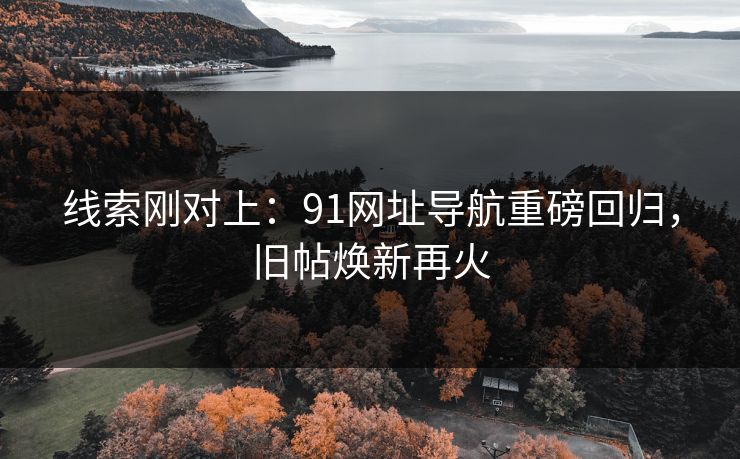线索刚对上：91网址导航重磅回归，旧帖焕新再火